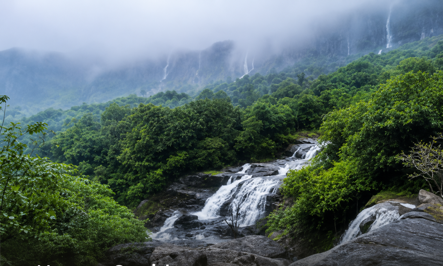 Dense green trail at Aadrai Jungle
